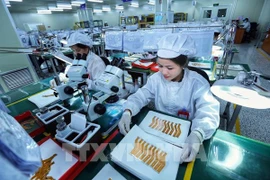 Aumenta número de nuevas empresas establecidas en Vietnam en 2023